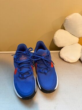 Boys Nike Star Runner Sneakers Blue sz 4.5 Y